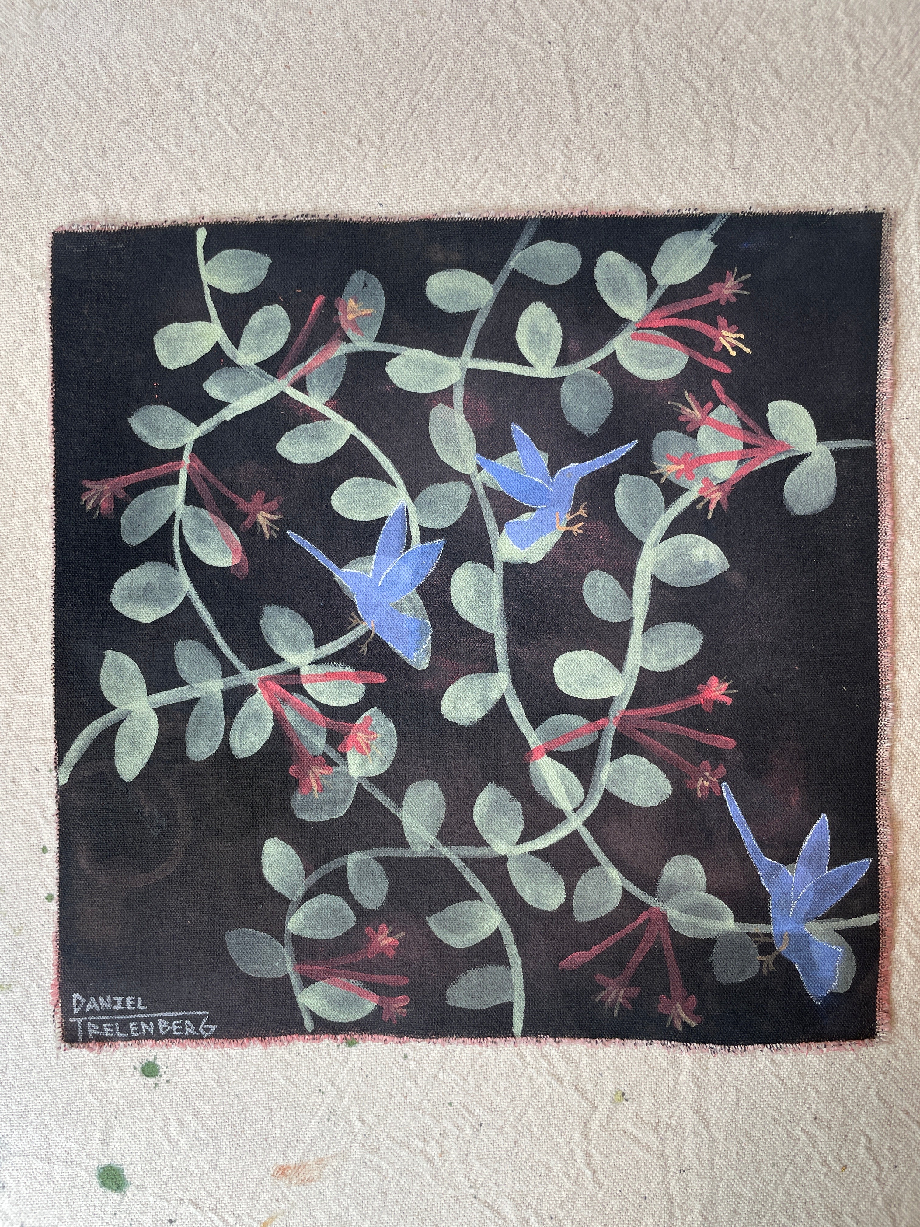 Coral Honeysuckle #2 – Daniel Trelenberg Studios