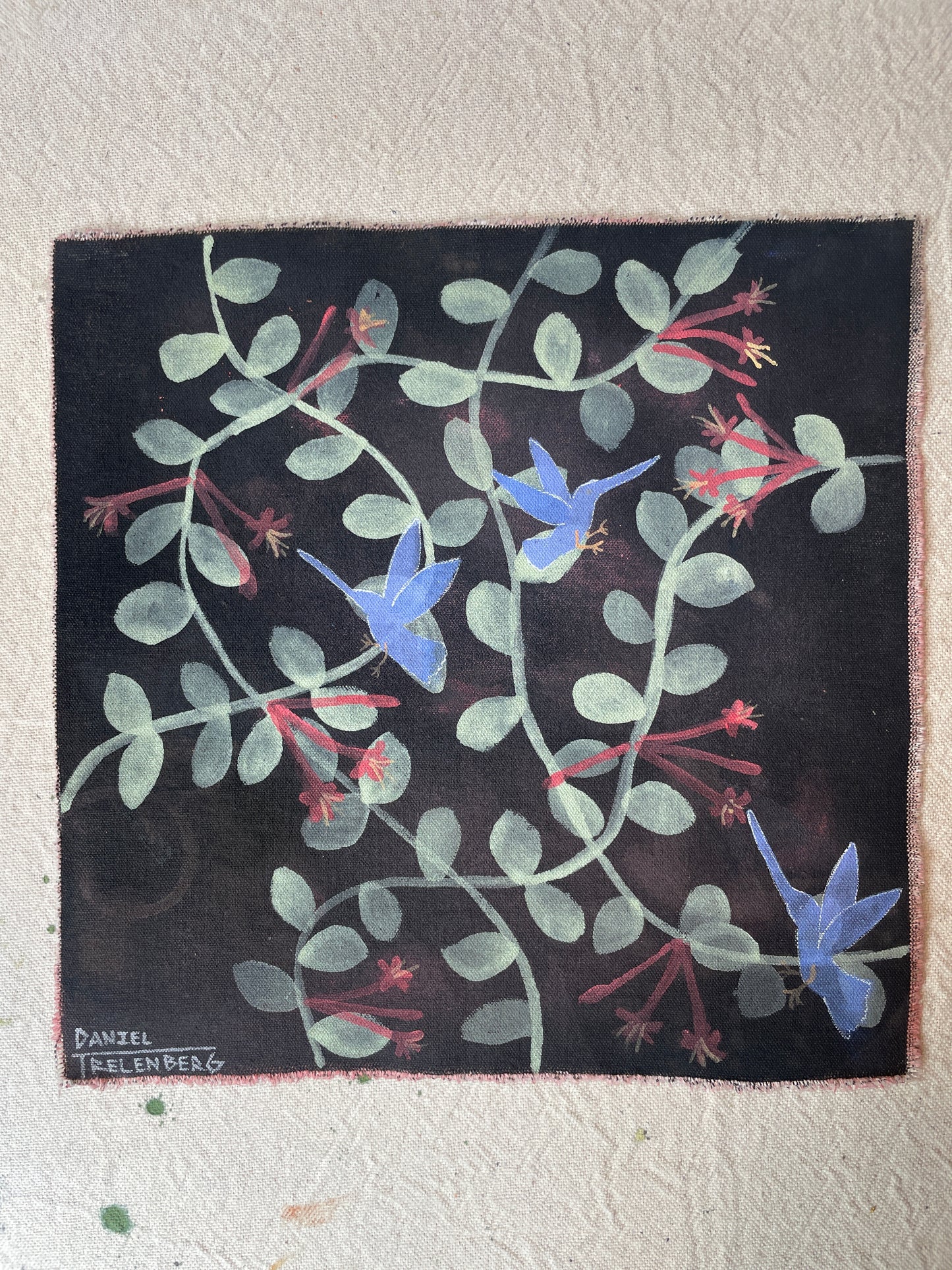 Coral Honeysuckle #2