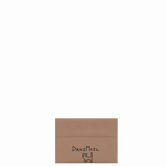 💌 DaniMAIL — Monthly Snail Mail